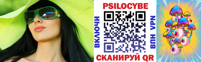 Псилоцибиновые грибы Psilocybe купить наркотик Горбатов